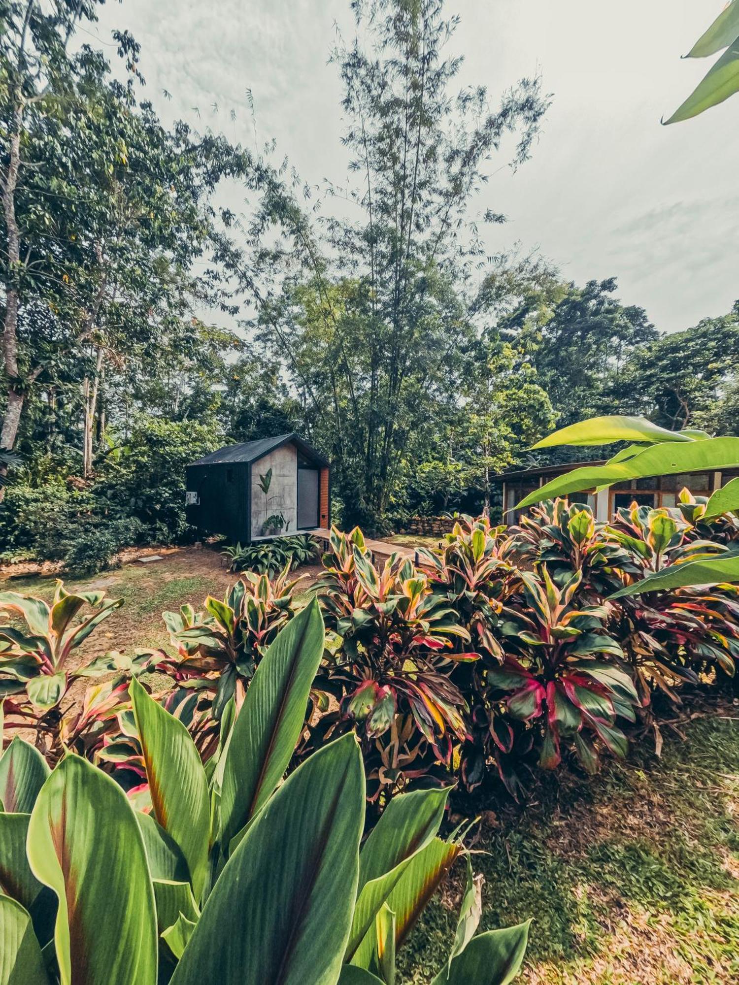 Tagua Lodge Tena Exterior foto