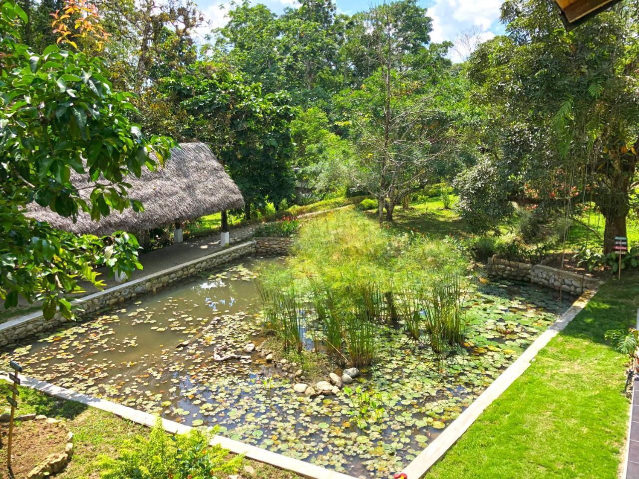 Tagua Lodge Tena Exterior foto
